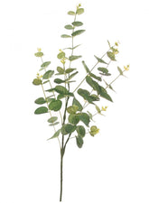 EUCALYPTUS SPRAY GREEN